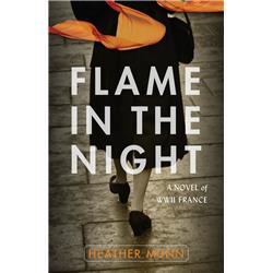 172716 Flame In The Night