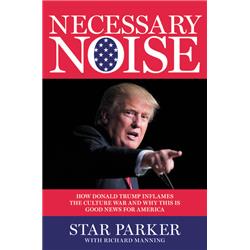 147860 Necessary Noise By Parker Star