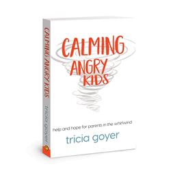 143128 Calming Angry Kids