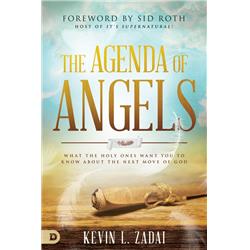 164411 The Agenda Of Angels