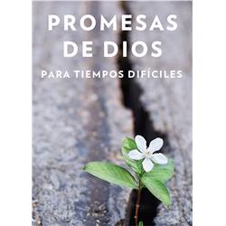 157367 Span-gods Promises When You Are Hurting - Promesas De Dios Para Tiempos Dificiles