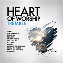 147341 Audio Cd - Heart Of Worship-tremble