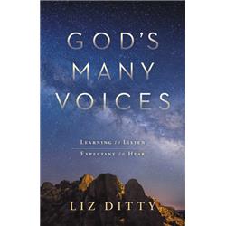199066 Gods Many Voices By Ditty Liz