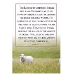 B & H Publishing 168048 Bulletin-the Lord Is My Shepherd - Psalm 23-1-4 Kjv - Pack Of 100 - Jan 2020