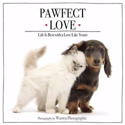 166388 Pawfect Love By Warren Photographi - Jan 2020