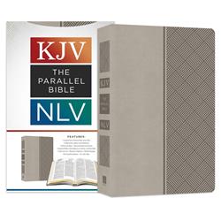 Barbour Publishing 160918 Kjv & Nlv Parallel Bible, Pewter Softcover