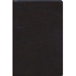 138581 Esv Waterproof Bible, Brown Imitation Leather