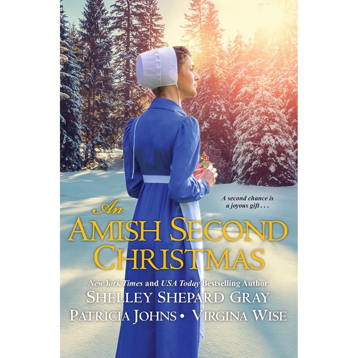 158754 An Amish Second Christmas