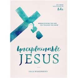 154931 Unexplainable Jesus By Wiggenhorn Erica