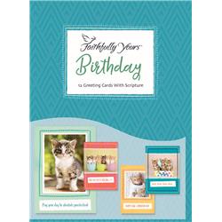 Faithfully Yours 166955 Birthday Card-boxed - Curious Kittens - Box Of 12