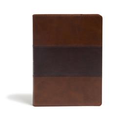 261918 KJV Study Bible, Saddle Brown LeatherTouch