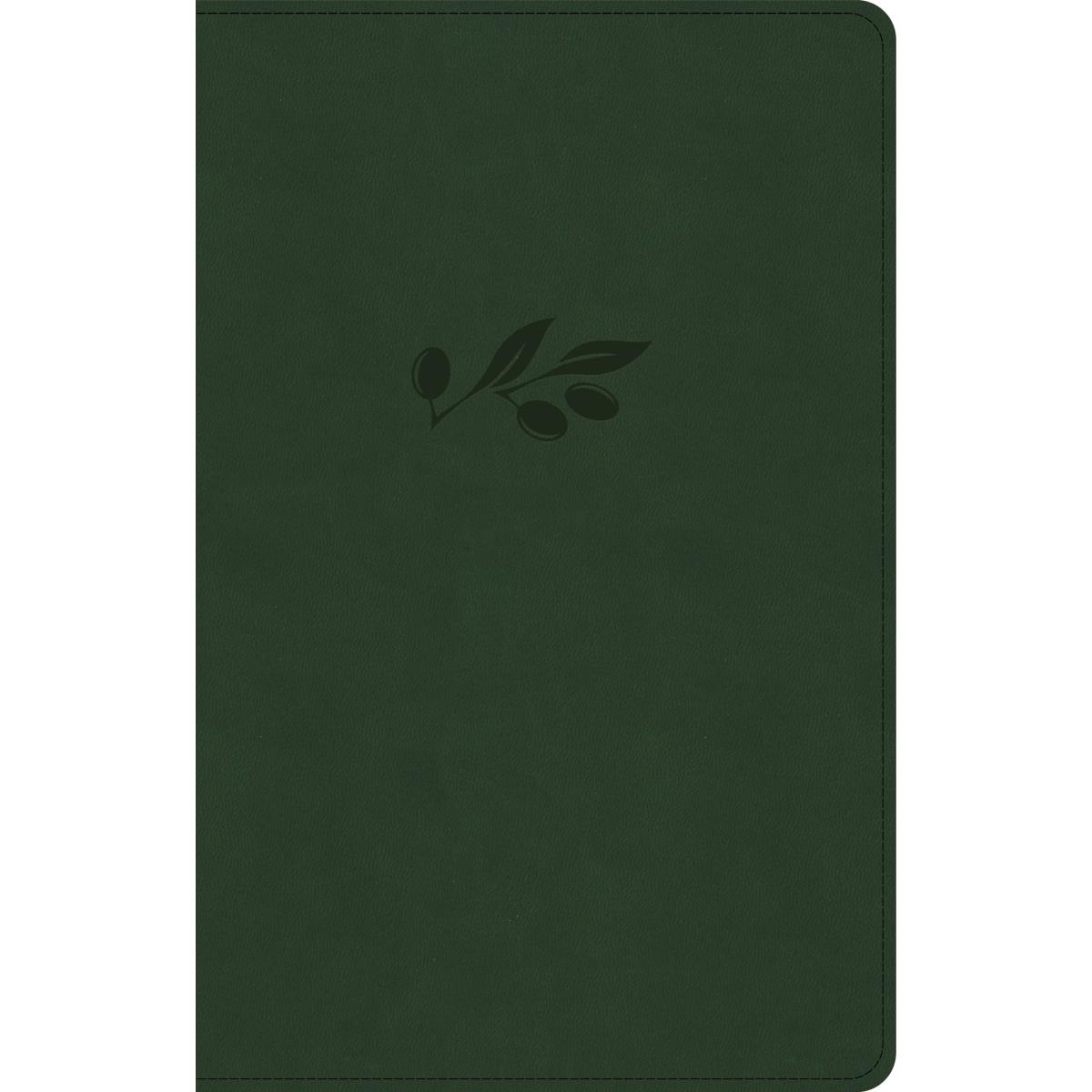 258854 NASB Large Print Personal Size Reference Bible - Olive Leather Touch Indexed