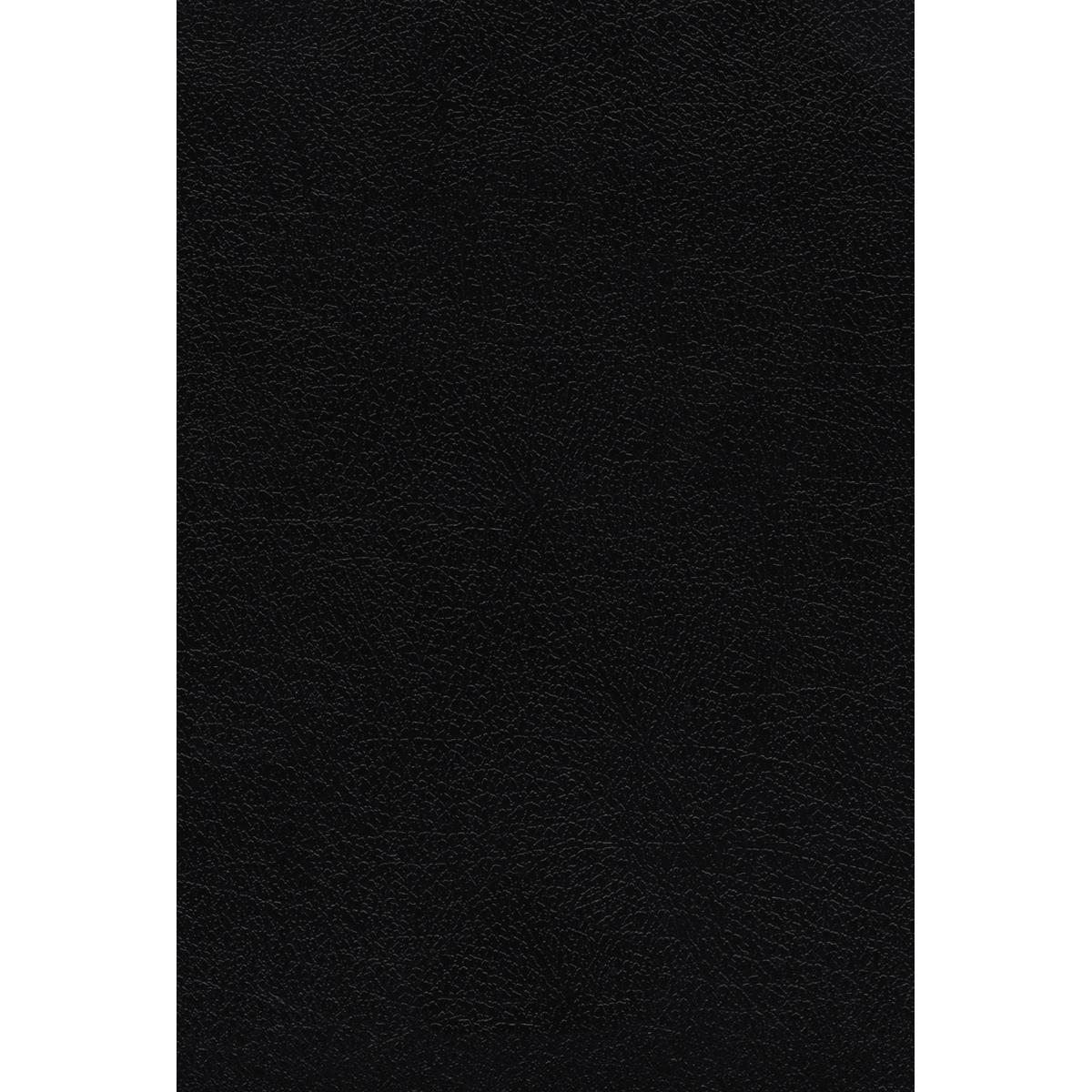 214138 KJV Thompson Chain-Reference & Large Print Comfort Print Bible - Black