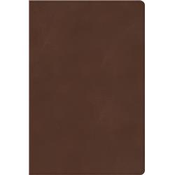 ISBN 9781087774220 product image for 204321 CSB Rainbow Study Leather Touch Indexed Bible - Brown | upcitemdb.com