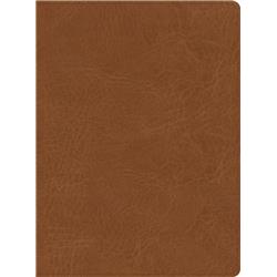 ISBN 9781087766140 product image for 259644 CSB He Reads Truth LeatherTouch Indexed Bible - Saddle | upcitemdb.com