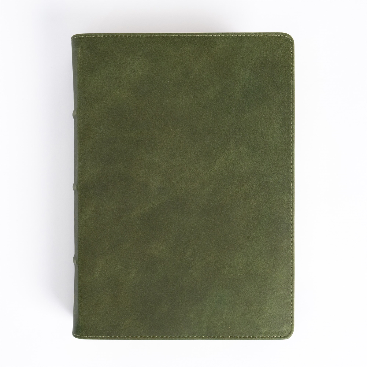 351666 CSB She Reads Truth Bible Holman Handcrafted Collection Olive Premium Calfskin Bible