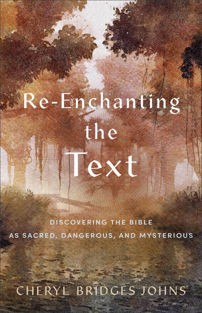 Baker Publishing Group 211778 Re-Enchanting The Text Book