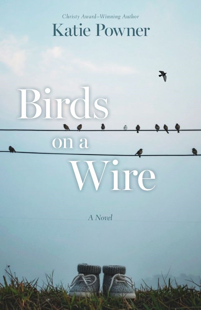 ISBN 9780825453311 product image for 753731 Birds on a Wire a Novel Book | upcitemdb.com