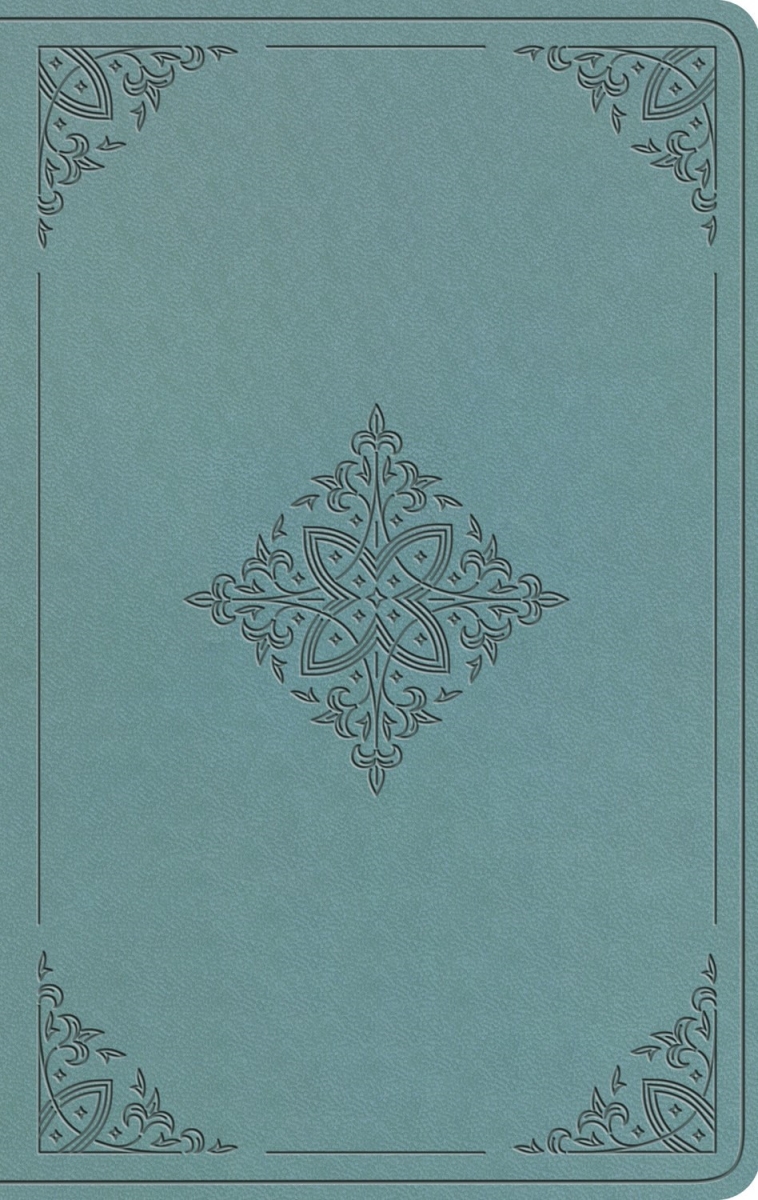 471204 ESV Value Thinline Bible - Paris Sky Fleur-De-Lis Design Trutone