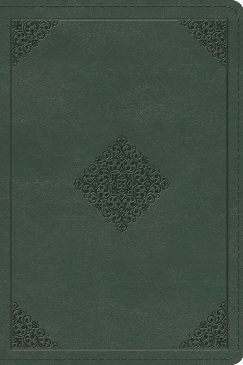 348416 ESV Personal Size Study Bible - Quiet Forest Ornament Design TruTone
