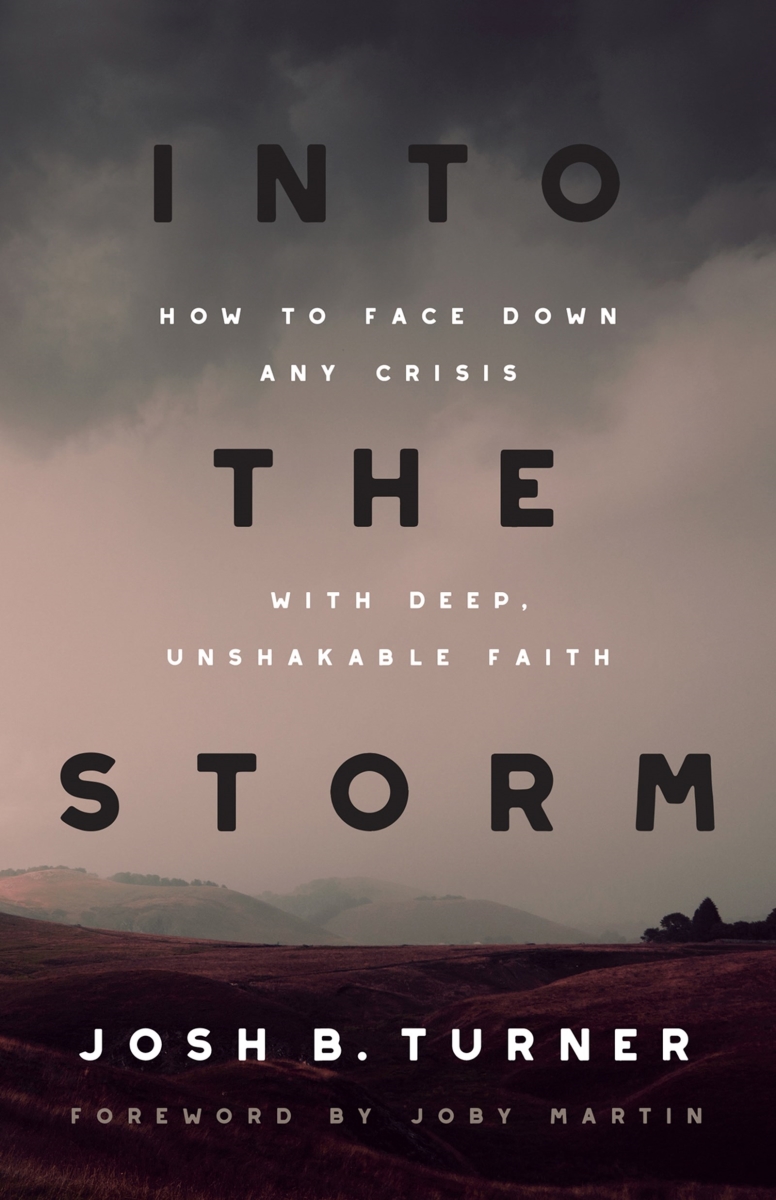 40605X Into The Storm Book
