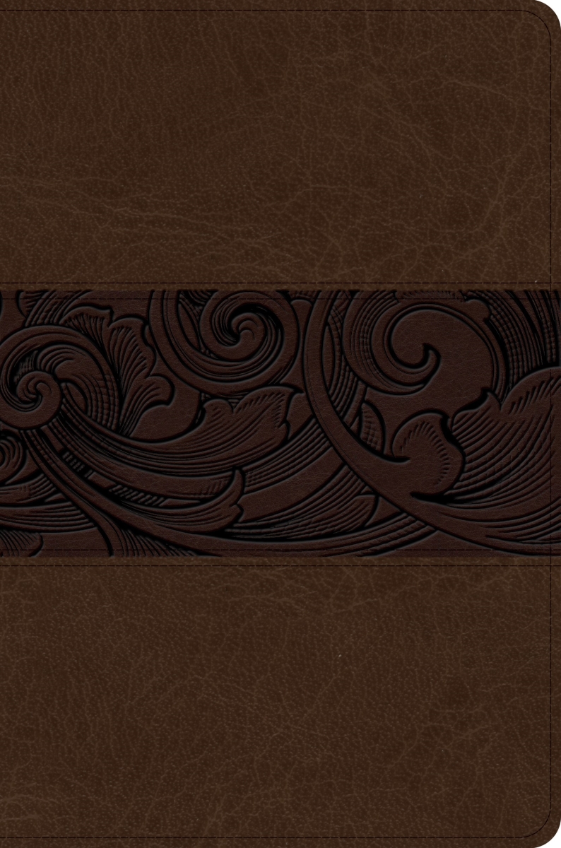 479153 KJV Study Bible & Personal Size Edition - Mahogany LeatherTouch
