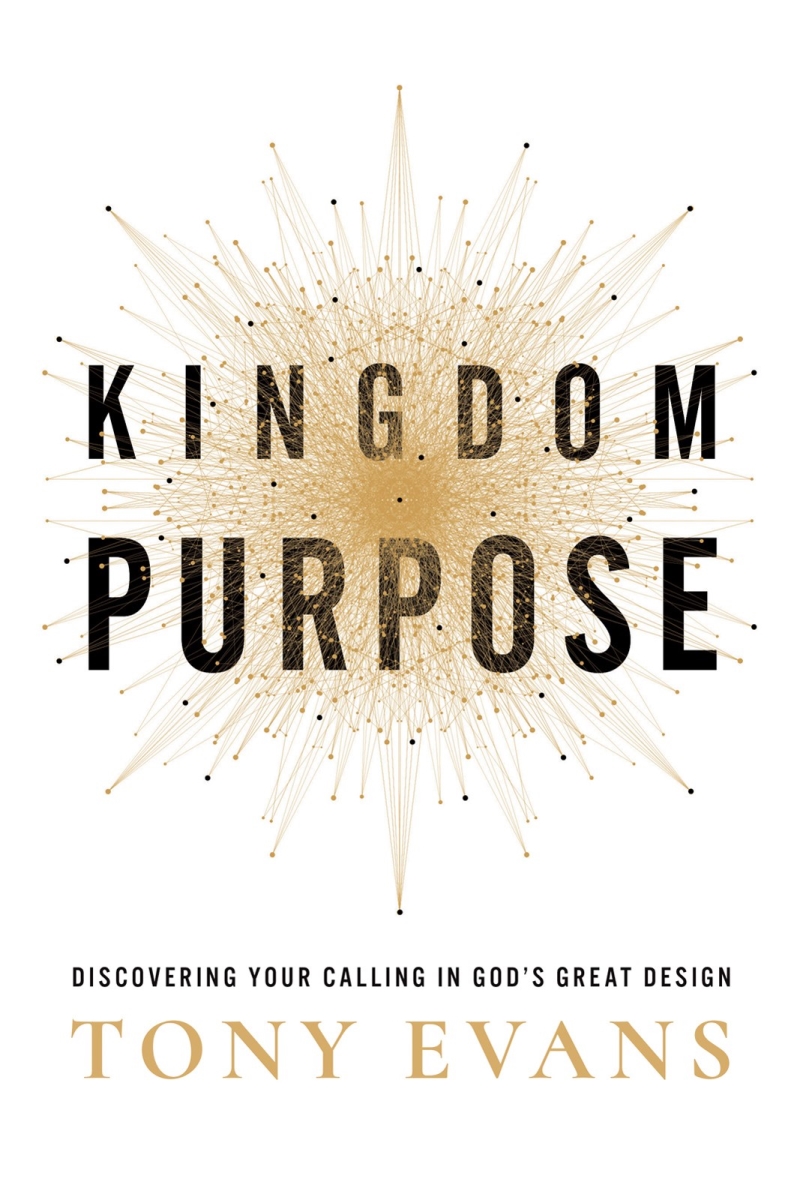 31154X Kingdom Purpose Book