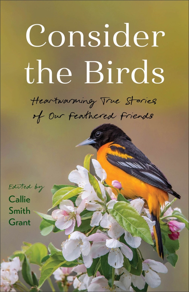 Baker Publishing Group 480018 Consider the Birds Book