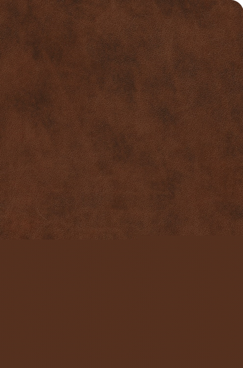 47118X ESV Value Compact Bible - Rl - Brown Trutone