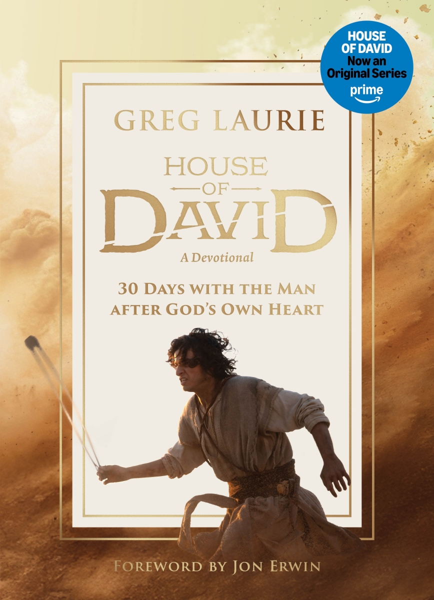 David C. Cook 365880 The House of David Book