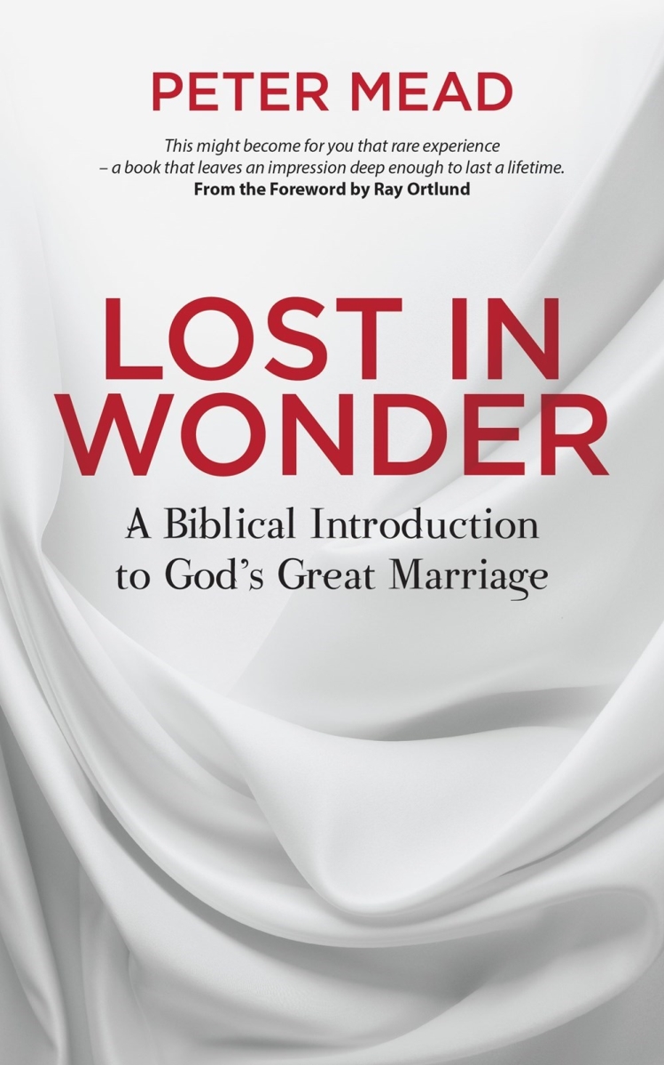 185324 Lost in Wonder Book