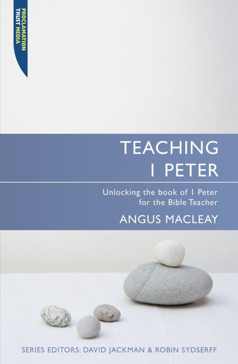 201262 Teaching 1 Peter Book