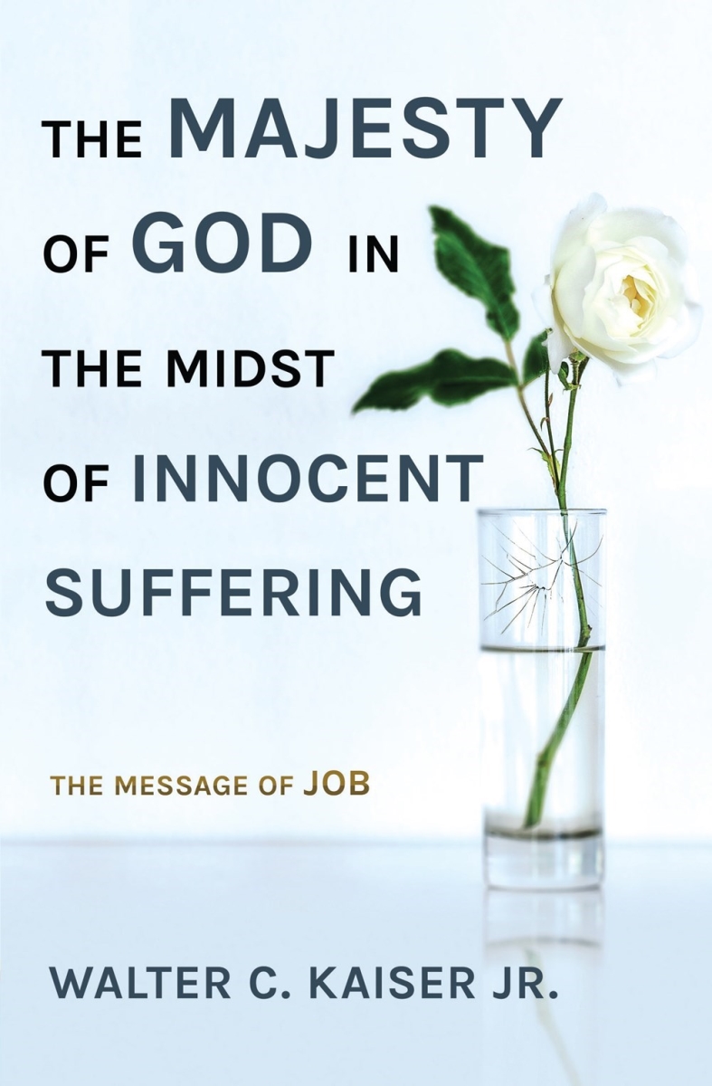 20710X The Majesty of God in the Midst of Innocent Suffering Book