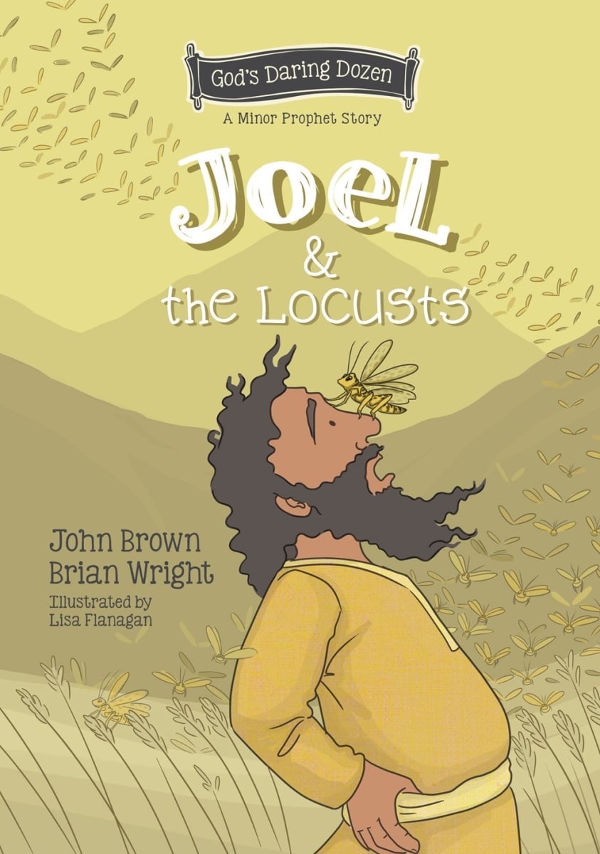 233837 Joel & the Locusts Childrens Book