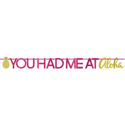 120345 Summer Luau You Had Me At Aloha Glitter Letter Banner - Pack Of 3
