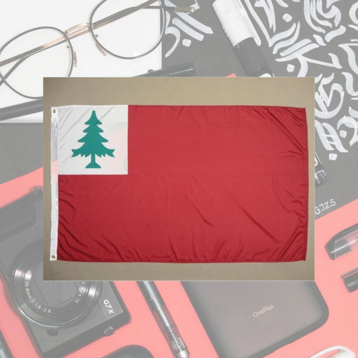 Picture of Annin Flagmakers 314895 3 ft. x 5 ft. Nyl-Glo Continental with Pine Tree Flag