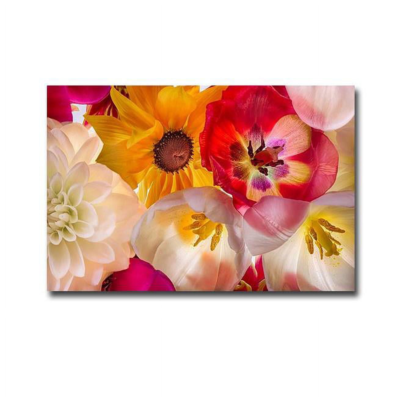 1624a729eg When Flowers Talk By Harold Davis Premium Gallery-wrapped Canvas Giclee Art - 16 X 24 X 1.5 In.