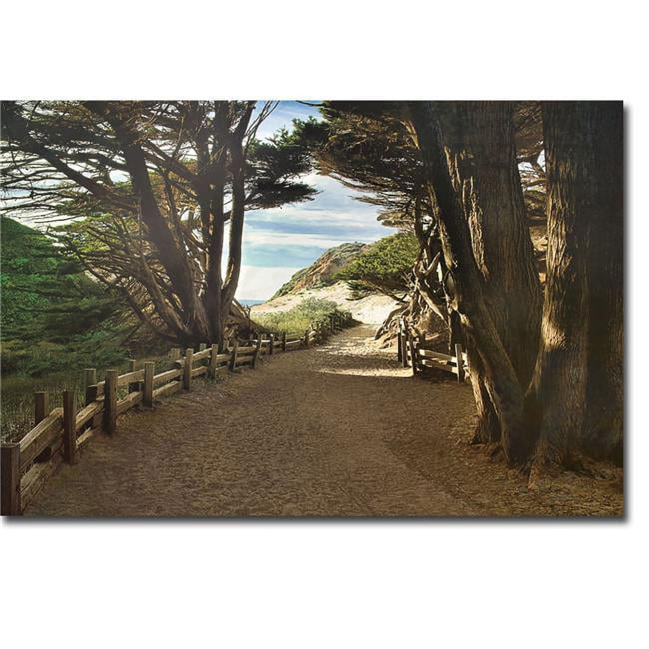 1624b384cg Big Sur By Michael Cahill Premium Gallery-wrapped Canvas Giclee Art - 16 X 24 X 1.5 In.