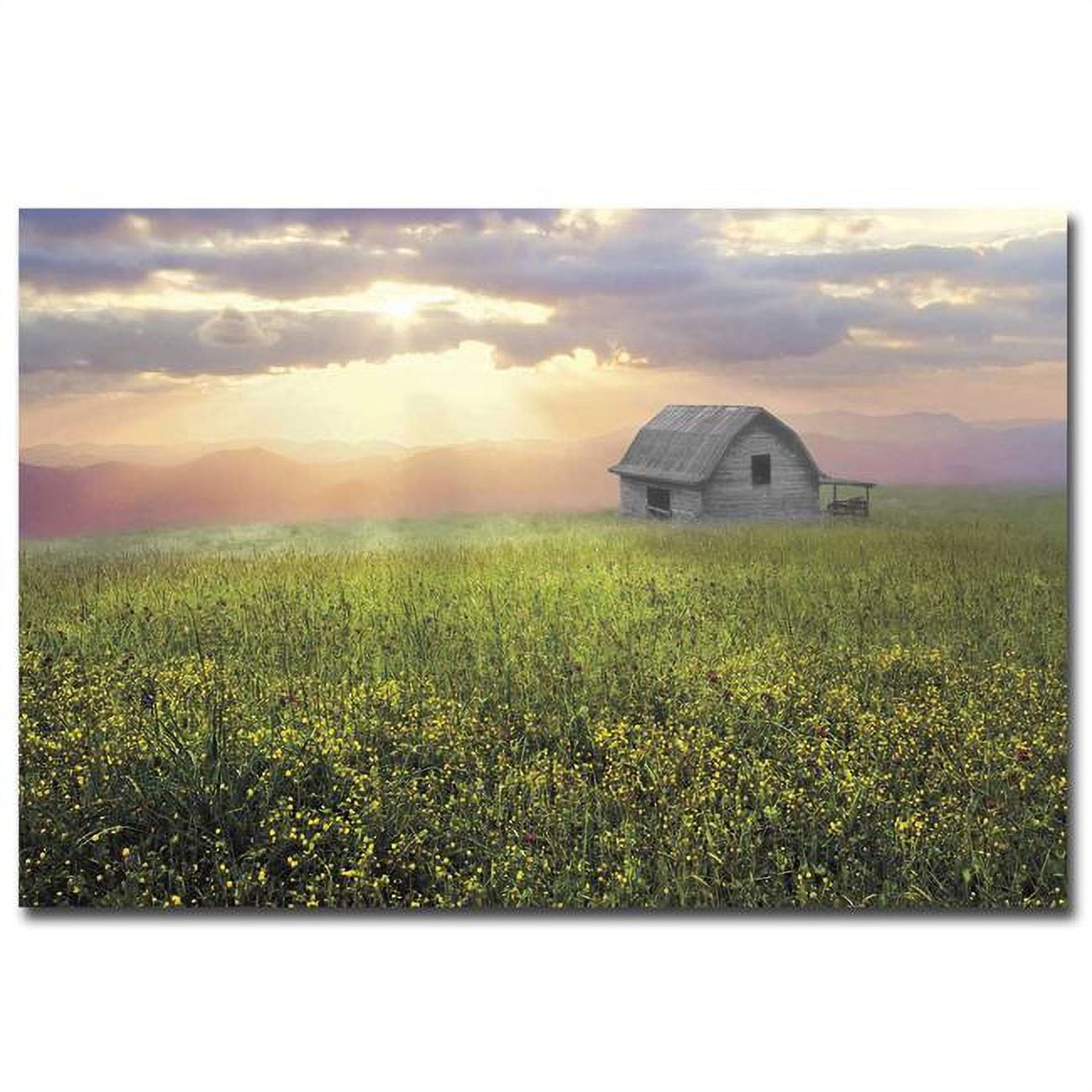 3045i795cg Morning Has Broken By Celebrate Life Gallery Premium Oversize Gallery-wrapped Canvas Giclee Panorama Art - 30 X 45 X 1.5 In.