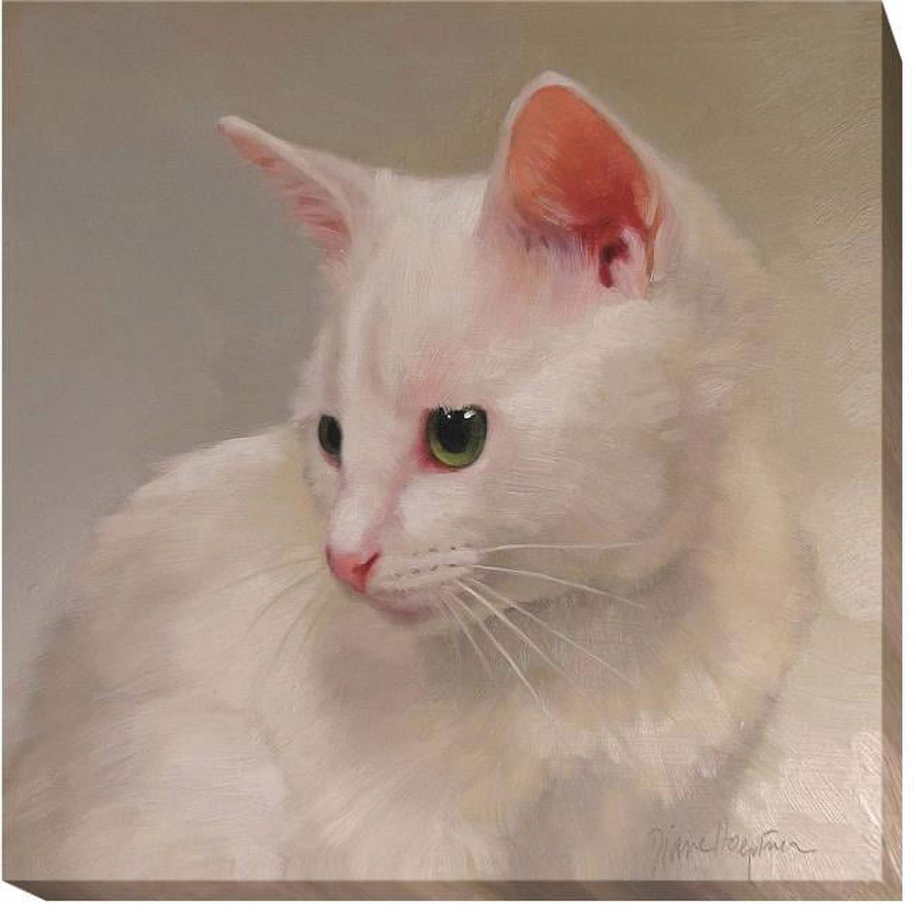 1212l568ig White Kitten By Diane Hoeptner Premium Gallery-wrapped Canvas Giclee Art - 12 X 12 X 1.5 In.