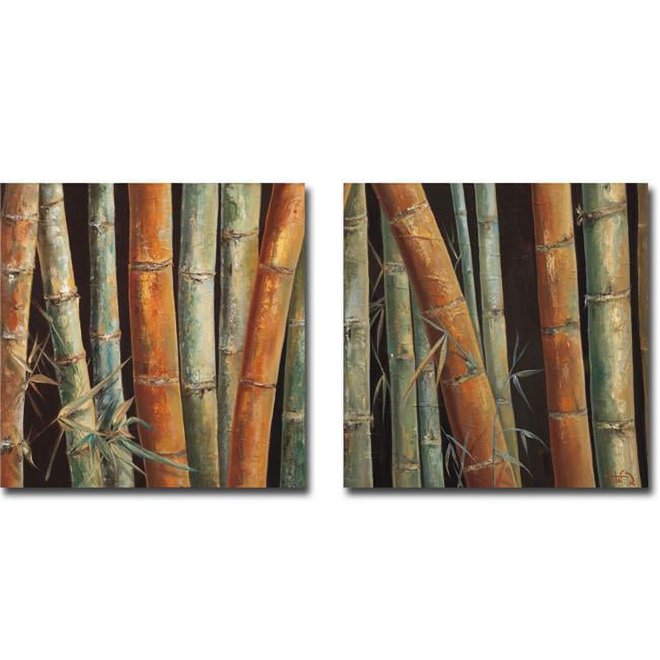 1212u788cg Caribbean Bamboo I & Ii By Tita Quintero 2-piece Premium Gallery-wrapped Canvas Giclee Art Set - 12 X 12 X 1.5 In.