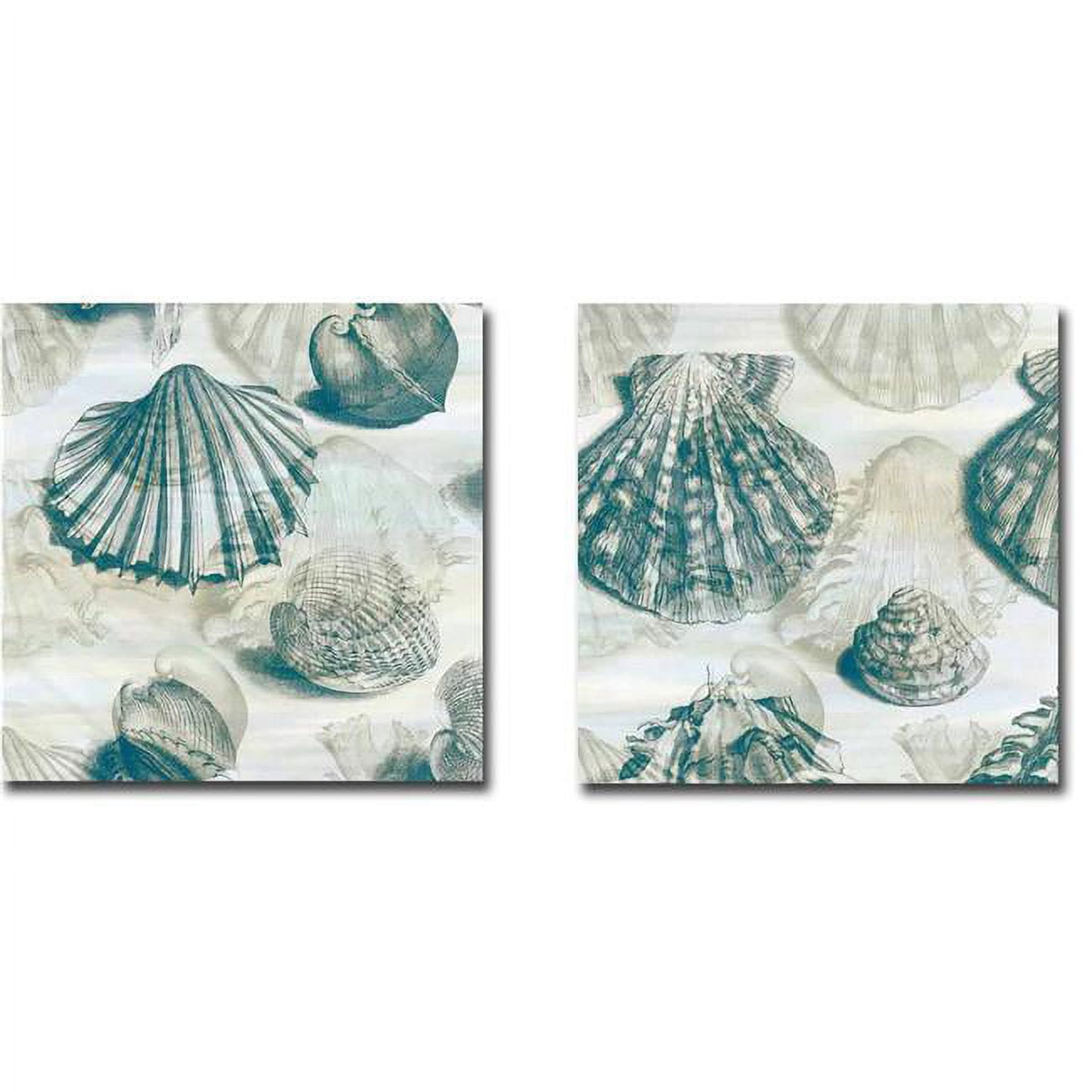 1212w743eg Shell Engraving 1 & 2 By John Butler 2-piece Gallery-wrapped Canvas Giclee Set - 12 X 12 X 1.5 In.