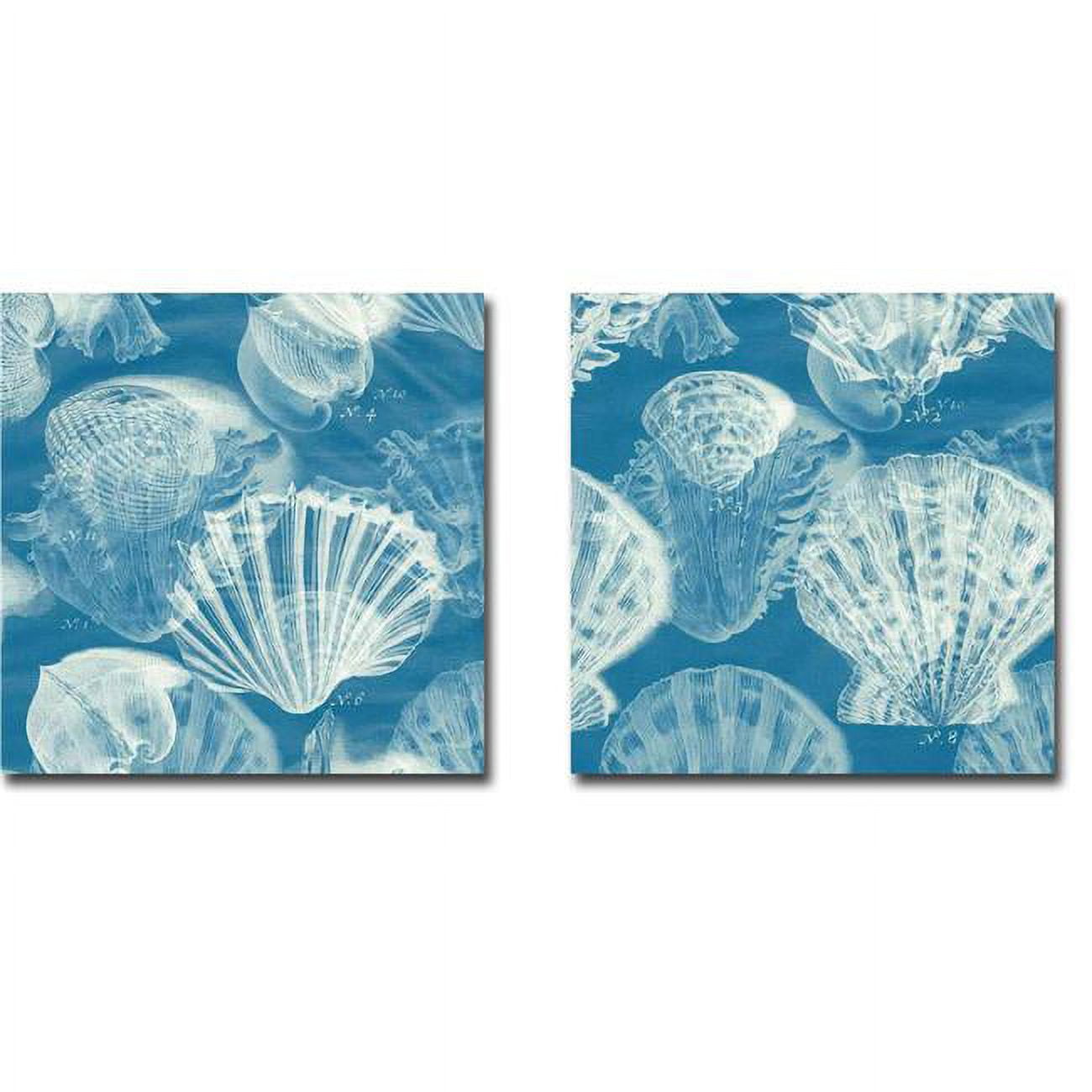 1212x743eg Shell Blueprint 1 & 2 By John Butler 2-piece Gallery-wrapped Canvas Giclee Set - 12 X 12 X 1.5 In.