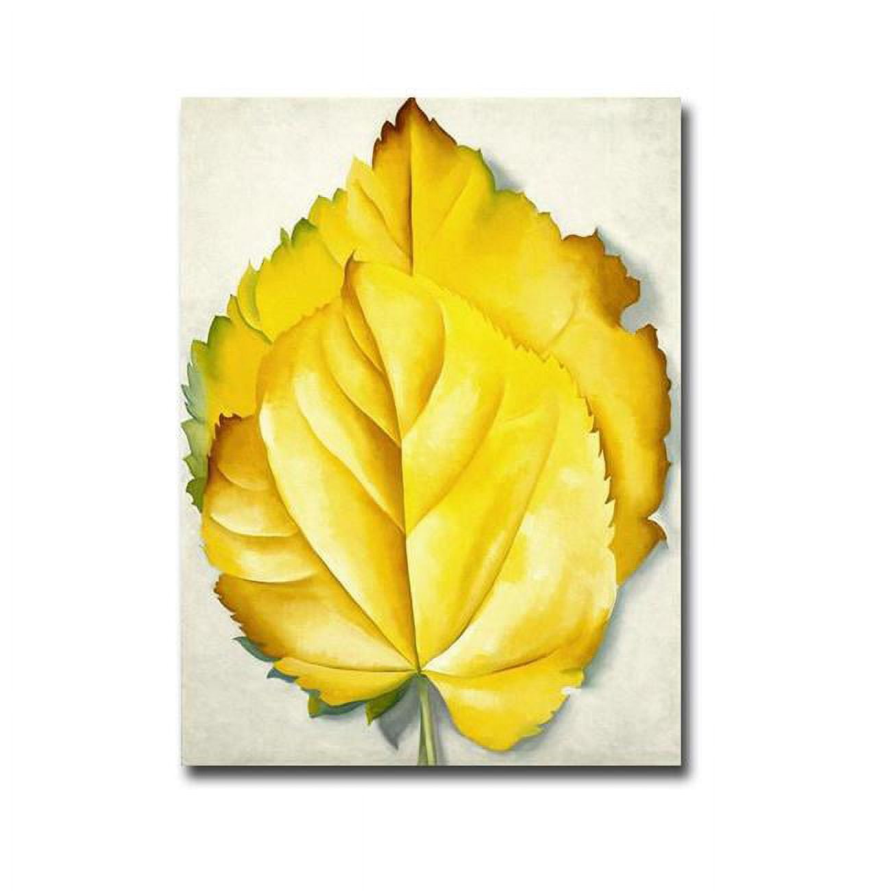 1216734bg Yellow Leaves By Georgia O-keeffe Premium Gallery Wrapped Canvas Giclee Art - 12 X 16 X 1.5 In.