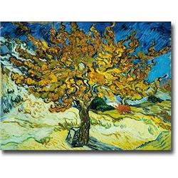 1216am537sag Mulberry Tree By Vincent Van Gogh Premium Gallery-wrapped Canvas Giclee Art - 12 X 16 X 1.5 In.