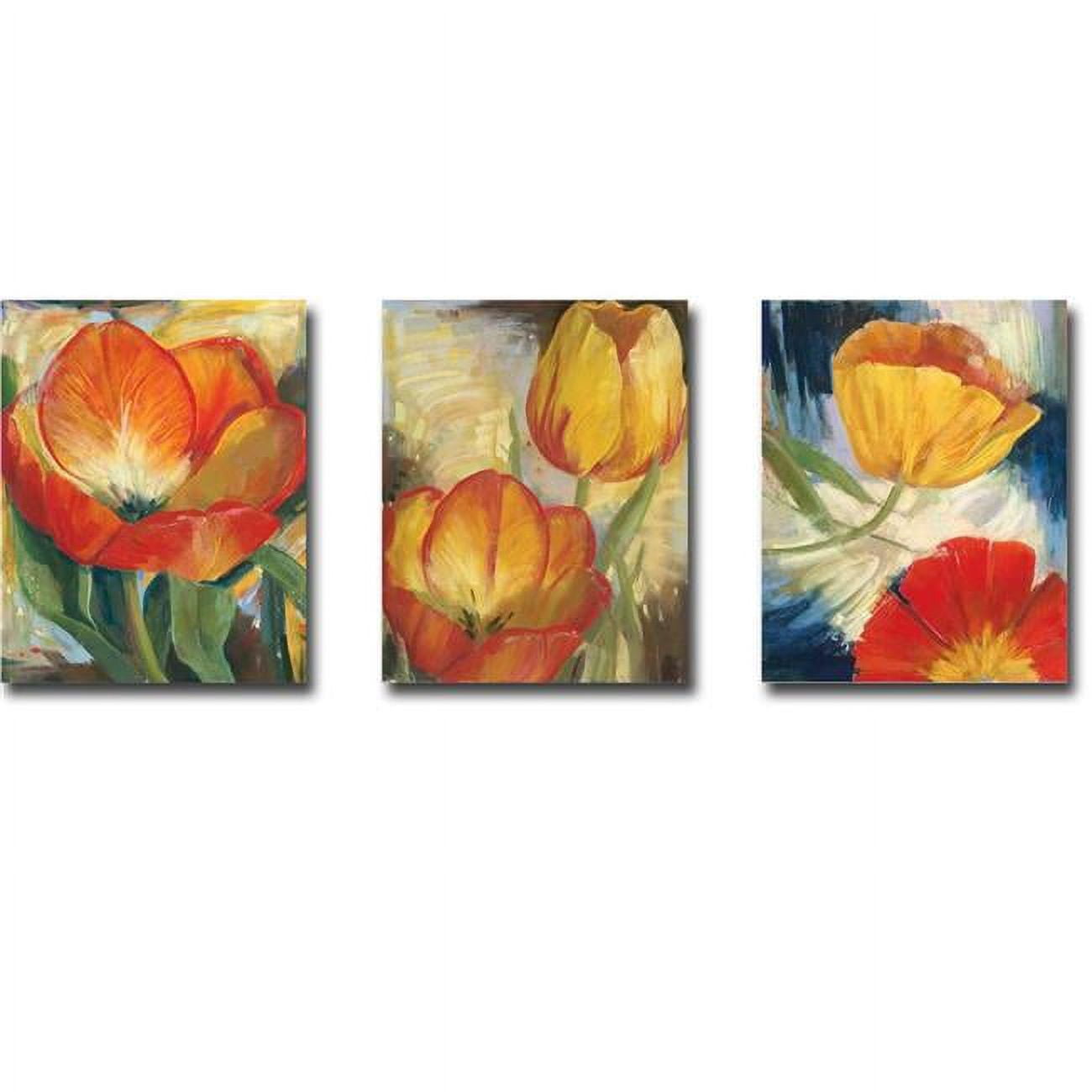 1216am708eg Summer Tulips I, Ii, & Iii By Carol Buettner 3 Piece Premium Gallery Wrapped Canvas Giclee Art Set - 12 X 16 X 1.5 In.