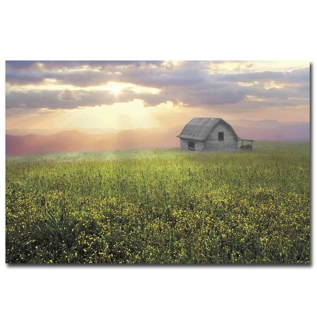1624i795cg Morning Has Broken By Celebrate Life Gallery Premium Gallery-wrapped Canvas Giclee Panorama Art - 16 X 24 X 1.5 In.
