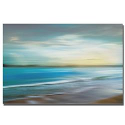 1624k882cg Ocean Plains By Tandi Venter Premium Gallery-wrapped Canvas Giclee Art - 16 X 24 X 1.5 In.