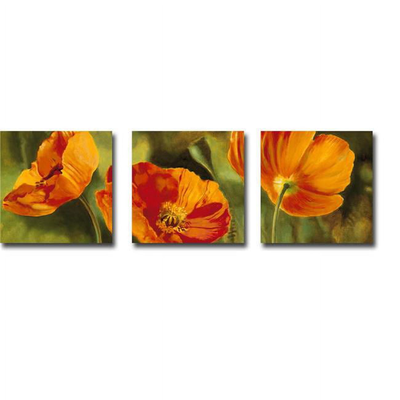 3636346tg Coquelicots Dans Le Soleil 1, 2, & 3 By Pierre Viollet 3 Piece Premium Oversize Gallery-wrapped Canvas Giclee Art Set - 36 X 36 In.