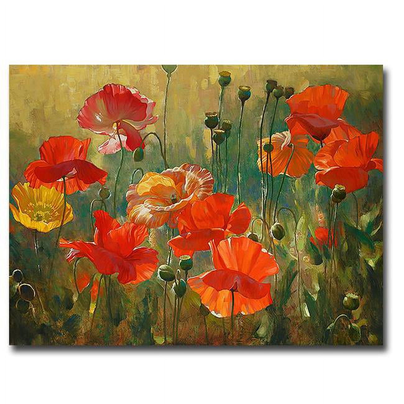 1216p374ig Poppy Fields By Emma Styles Premium Gallery-wrapped Canvas Giclee Art - 12 X 16 X 1.5 In.